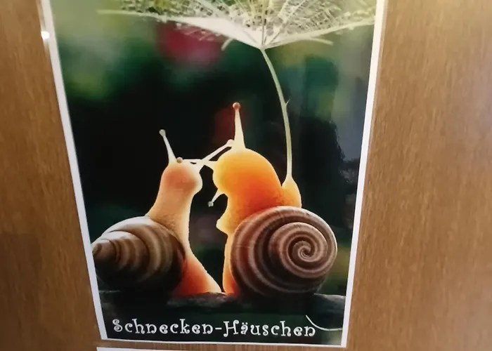 Nordappartement Lägenhet Mengerskirchen